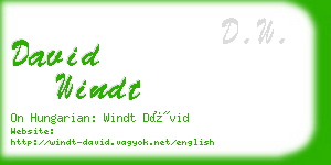 david windt business card